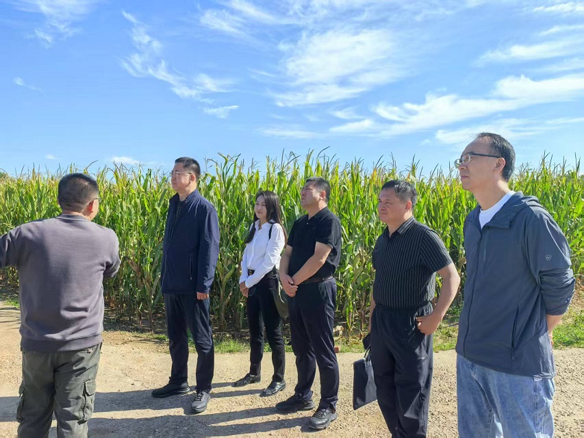 市人大常委会开展北方特色农作物良种繁育基地建设情况专题视察